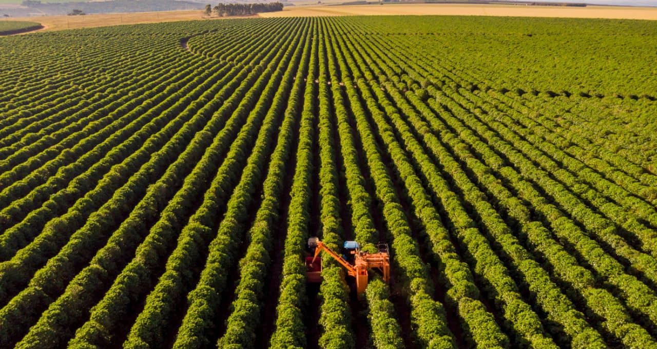 O impacto do tarifaço do governo Trump sobre o agronegócio brasileiro