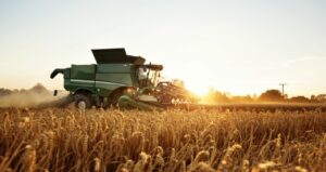 PIB agro