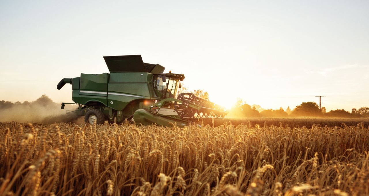 Fatia do agro no PIB do Brasil deve fechar 2025 no maior nível em 22 anos, prevê CNA
