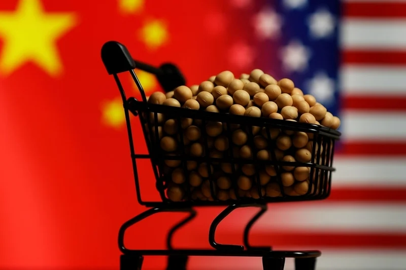 China necessita de soja dos EUA e precisará comprar de 15 a 25 mi de t no mercado norte-americano